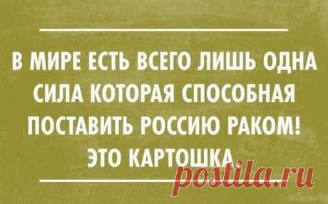 Интересные новости