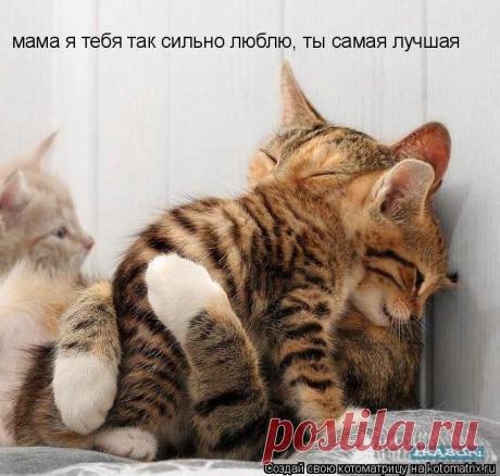 Я люблю тебя мамочка!