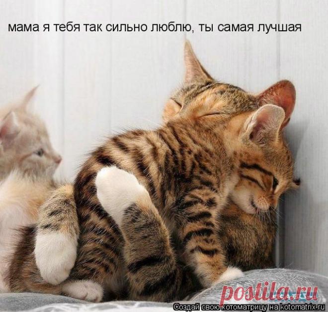 Я люблю тебя мамочка!