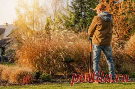 Самая полная инструкция по подготовке цветника к зиме — Ботаничка