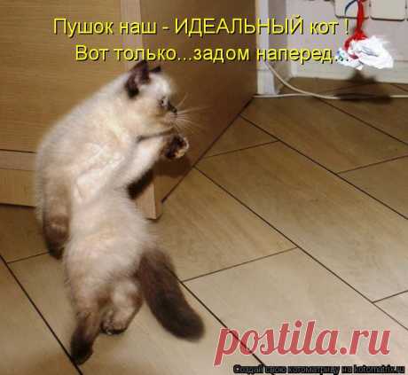 Zj.jpg (Изображение JPEG, 750 × 690 пикселов)