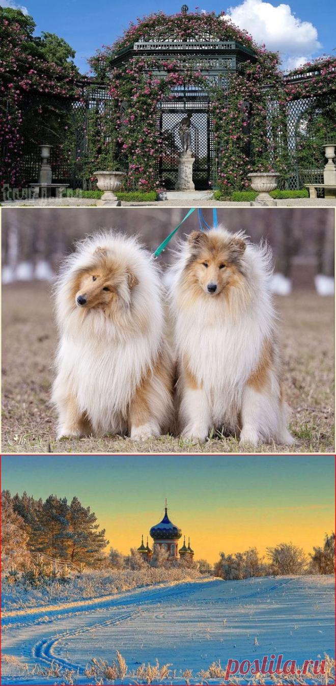 КРАСОТА ПРИРОДЫ | Записи в рубрике КРАСОТА ПРИРОДЫ | Маленький мирок Валюши.