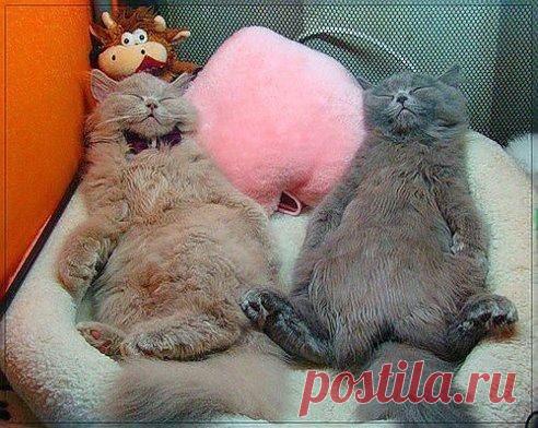 Интересные новости