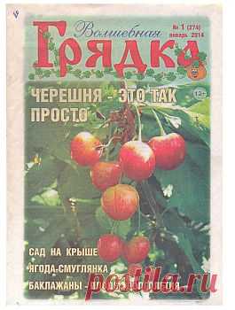 Волшебная грядка №1 2014.