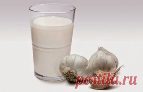 Здоровье: Эликсир молодости