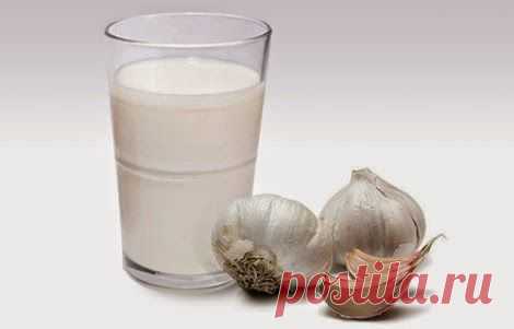 Здоровье: Эликсир молодости