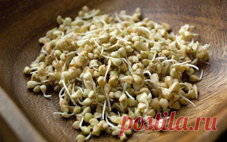 Проростки зеленой гречи: быстро и вкусно 


Такая еда очищает и омолаживает человека, добавляет ему сил и энергии, а также противостоит многим заболеваниям, к числу которых относят даже онкологические.




Гречка — это ценнейший продукт пита…