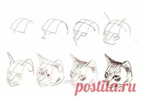 (1) Pinterest