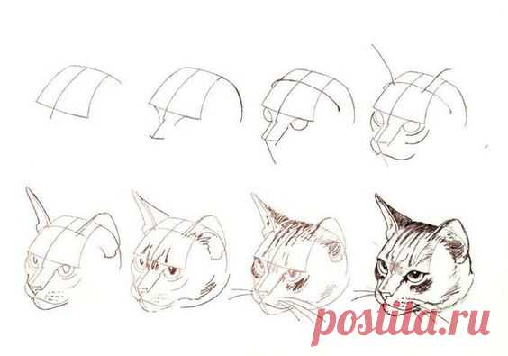 (1) Pinterest