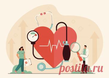 ВИДЕО. Профилактика сердечно-сосудистых заболеваний | PortalBio