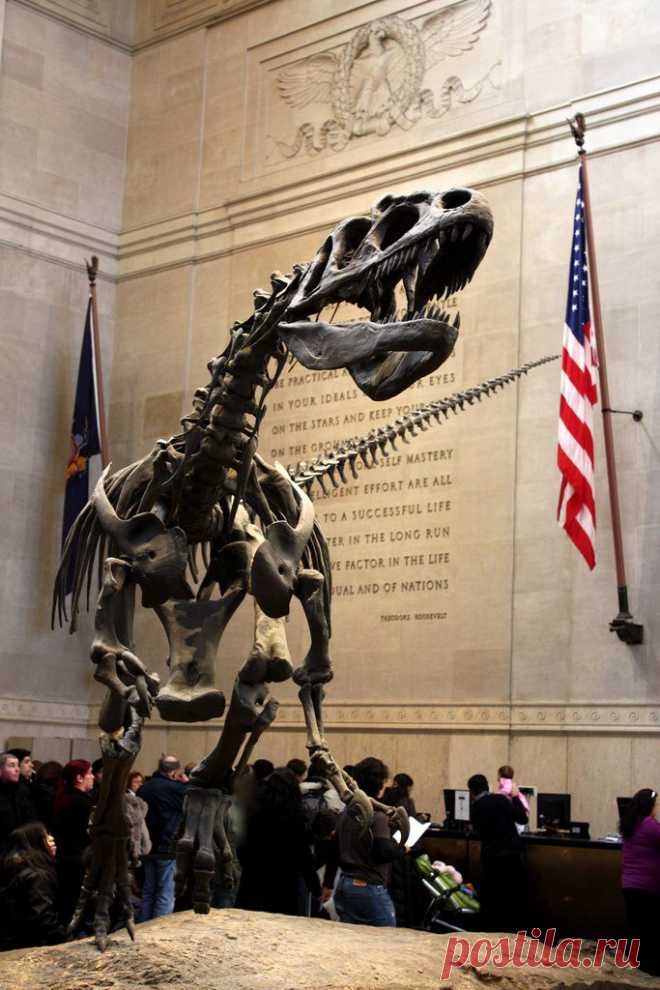 Blooloop приколол(а) это к доске Dinosaurs & Other Prehistoric Animal…