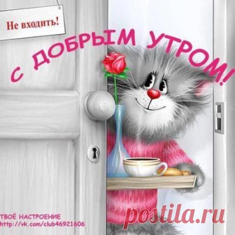 Всем доброго утра и отличного настроения!!От Души..