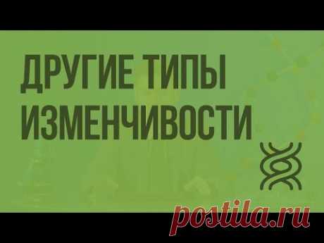 Другие типы изменчивости - YouTube