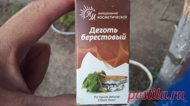 Самый лучший способ как избавиться от тли Народное средство от тли Борьба с тлей  Березовый деготь