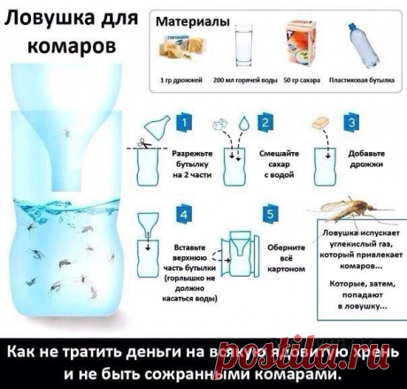 Экологичeски чистая самодeльная ловушка