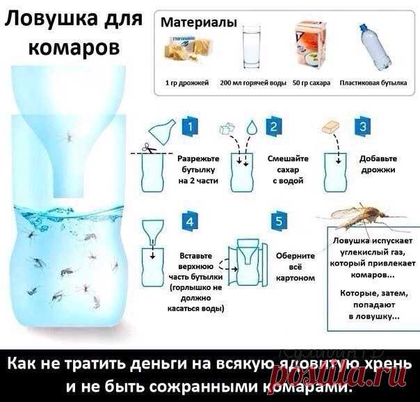 Экологичeски чистая самодeльная ловушка