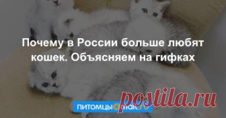 Почему в России больше любят кошек. Объясняем на гифках По статистике, Россия лидер мирового рейтинга по количеству кошек на душу населения. Так, у 59% россиян дома живет хотя бы один кот. Откуда такая любовь к представителям семейства кошачьих? Причин...