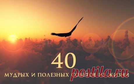 40 мудрых и полезных советов из жизни