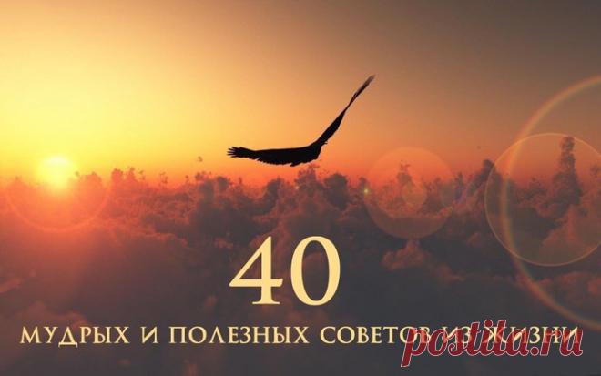 40 мудрых и полезных советов из жизни