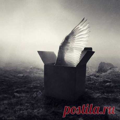 «- Мне хочется быть настоящим, но я не знаю что это значит и как это осуществить. Я чувствую себя внутри дьявольского круга, в тюрьме, мне хочется выйти на волю, но как?

— Во-первых, вы не в тюрьме – никто не находится в тюрьме и никто никогда в ней не был. Тюрьма выдумана. Конечно, вы бессознательны, но вы не в тюрьме. Тюрьма это сон, ночной кошмар, который вы создали в своем сне. Поэтому главный вопрос не в том, как выйти из тюрьмы, а в том, как проснуться.&gt;&gt;&gt;