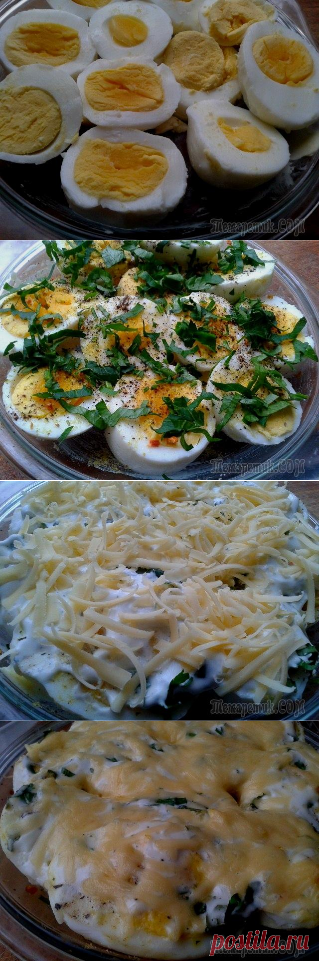 Яйца запеченные в сметане под сыром
=Яйца сварить вкрутую, очистить и нарезать пополам или кружочками. Выложить в жаропрочную форму, предварительно смазанную сливочным маслом.