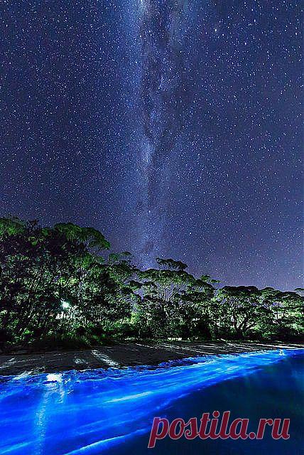 Млечный путь и светящийся планктон
Abby Carney приколол(а) это к доске Travel