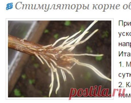 Стимуляторы корне образования из подручных средств. - Сад, огород - Страна Мам