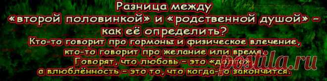 Эти биологические ответы кого-то устраивают, но не всех, и это нормально: вряд ли стоит забывать про духовную жизнь, которая, может быть, самое главное, что отличает человека от какой-нибудь выдры. 
И тут есть очень понятные, очень простые и ясные размышления, которые могут объяснить эту сакраментальную разницу между влюблённостью и любовью. 
Любовь – это «вторая половинка», влюбленность – это «родственная душа».
