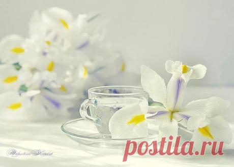 Приложение "Открытки"
татьяна черненко