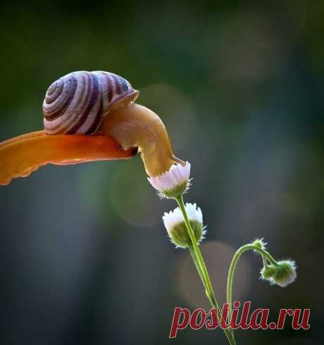 (69) Pinterest • Всемирный каталог идей