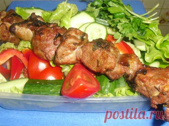 Шашлык из свинины с киви - Простые рецепты