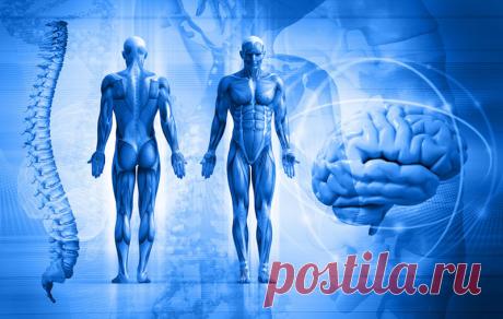 Занимательные факты о человеческом организме (часть 1) Во рту у человека бактерий больше, чем людей во всем мире!