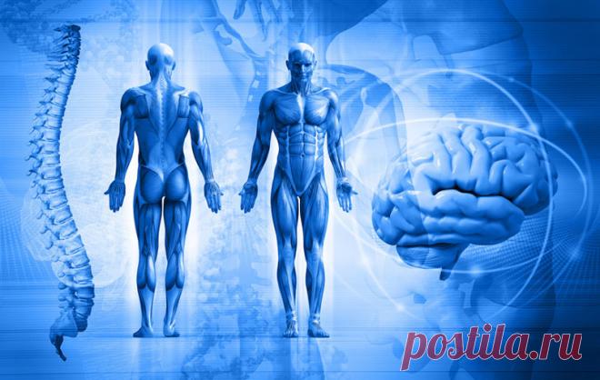 Занимательные факты о человеческом организме (часть 1) Во рту у человека бактерий больше, чем людей во всем мире!