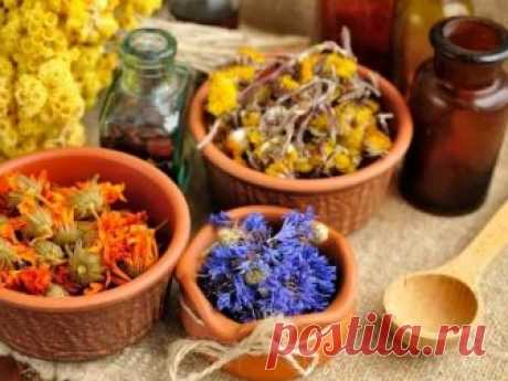 Прихватило на даче или на море? Подручные средства первой помощи, которые есть везде! - CELEBNIK. RU Как помочь себе подручными средствами? Загляните в кухонный шкафчик или в холодильник,...