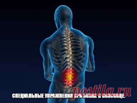СПЕЦИАЛЬНЫЕ УПРАЖНЕНИЯ ПРИ БОЛЯХ В ПОЯСНИЦЕ / Воркаут как образ жизни