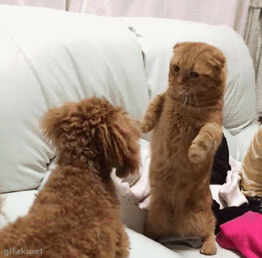 Мой Мир@Mail.Ru