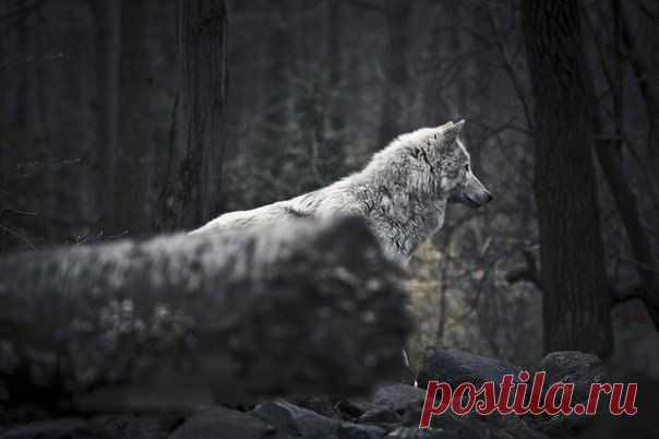 Минус одиночества в том, что через время начинаешь получать от этого кайф. И просто не пускаешь никого в свою жизнь.