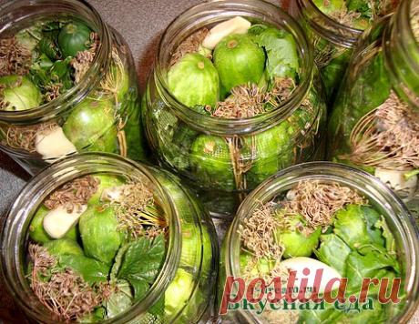 Соленые огурцы - рецепт на зиму в банках - Вкусная еда