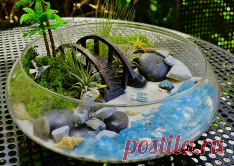 Флорариумы: виды, описание, идеи оформления ~ Planetalsad