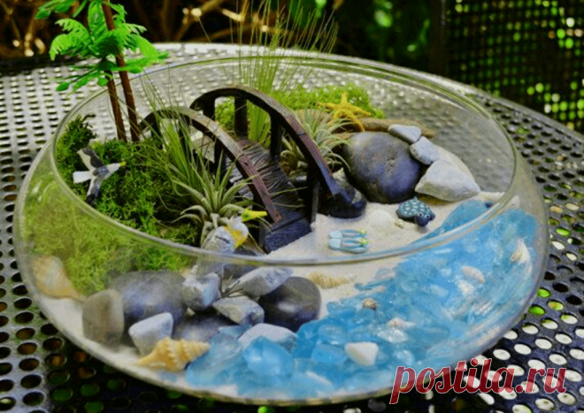 Флорариумы: виды, описание, идеи оформления ~ Planetalsad
