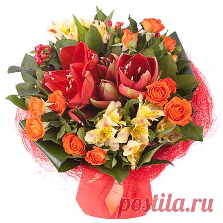 d39a39a97cac078_orig.jpg (460×460)