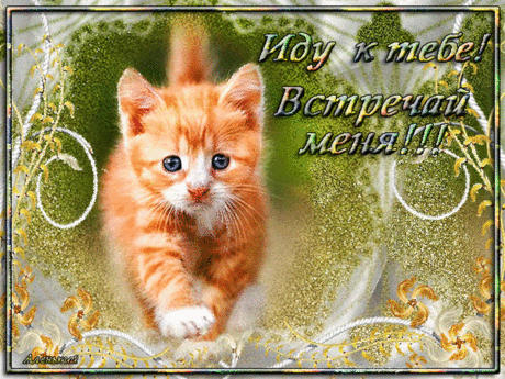 &quot;РЫЖИК&quot; ЖЕЛАЕТ ВАМ ДОБРОГО ВЕЧЕРА!