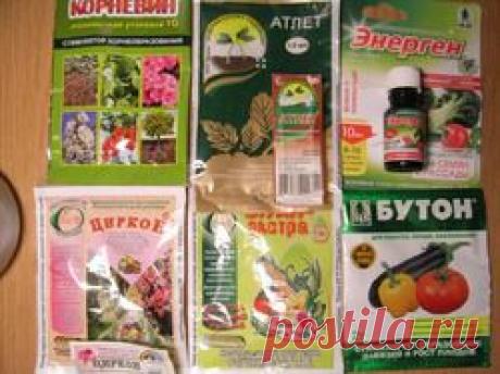 Регулировщики: Группа Практикум садовода и огородника