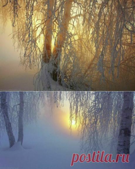 фотографии зимы