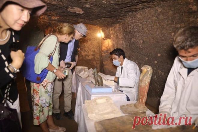 Звериный некрополь: мумии кошек и скарабеев найдены в Египте | В мире