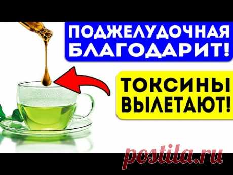 Всего 1 капля в день от шлаков, для поджелудочной и от воспалений! - YouTube