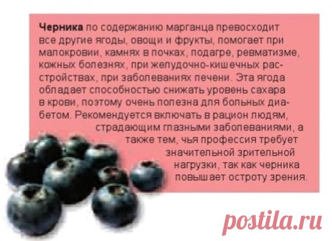 Черника - полезные свойства