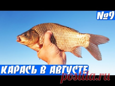 СНАСТЬ ПРОБКА ПРОТИВ УДОЧКИ (ловля карася в жару)