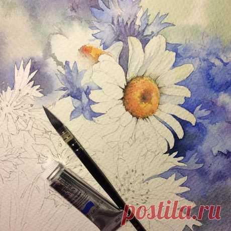 Ромашки, васильки..... #рисую_все_что_вижу #art #artwork #paint #painting #draw #drawing #watercolor #watercolorpainting #acuarela  #aquarelle #topcreator #art_we_inspire #process_of_creativity #art_dnevnik #акварель #цветы #flowers #fleurs