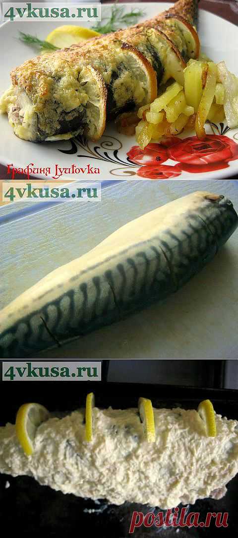 "Пикантная" скумбрия | 4vkusa.ru